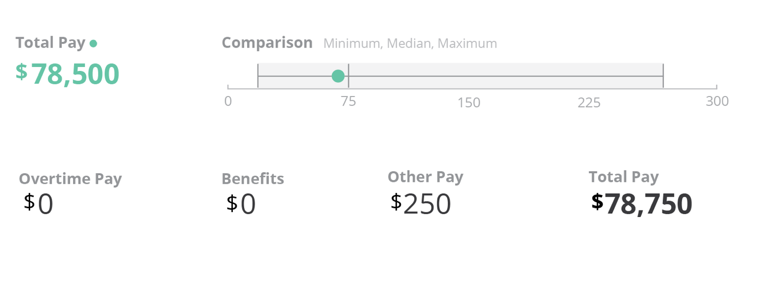 Payroll visualization mockup